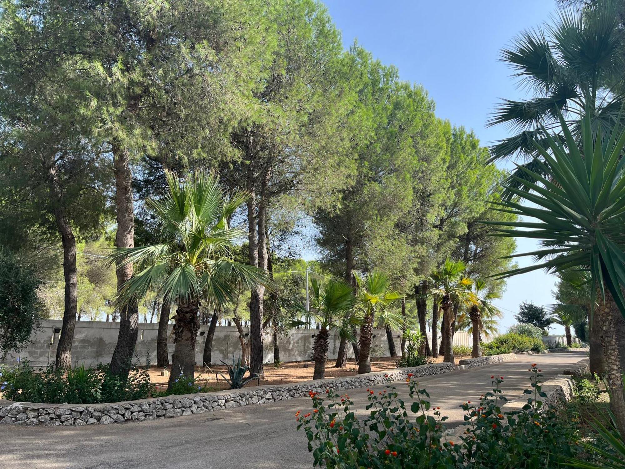 Masseria La Camardia Sava Exterior foto