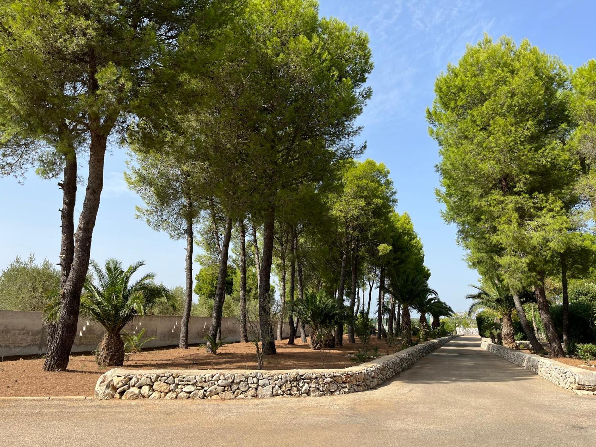 Masseria La Camardia Sava Exterior foto